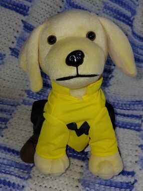 Cane's Chicken Charlie Brown Plush